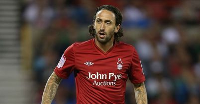 Jonathan Greening: Has joined Barnsley until the New Year